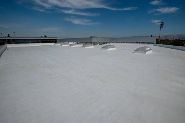 Best Skylight Installation and Repair  in Wmington, IL