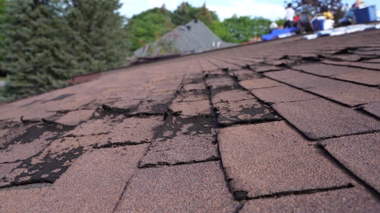 Best Roof Insulation Installation  in Wmington, IL