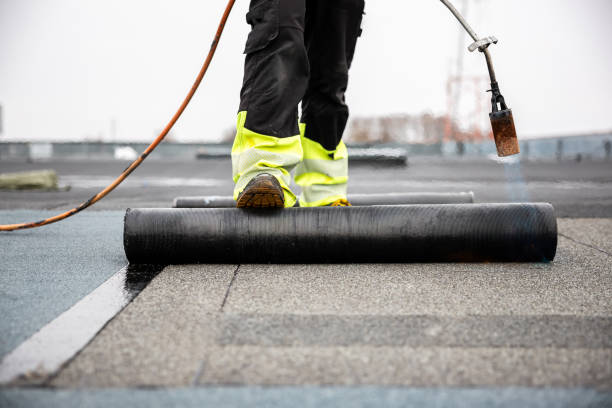 Best Roof Waterproofing  in Wmington, IL